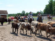 duderanch_132.jpg