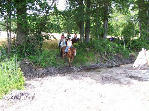 duderanch_152.jpg