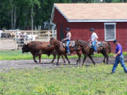 duderanch_203.jpg