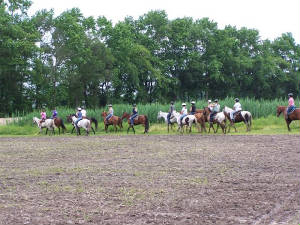 duderanch_229.jpg